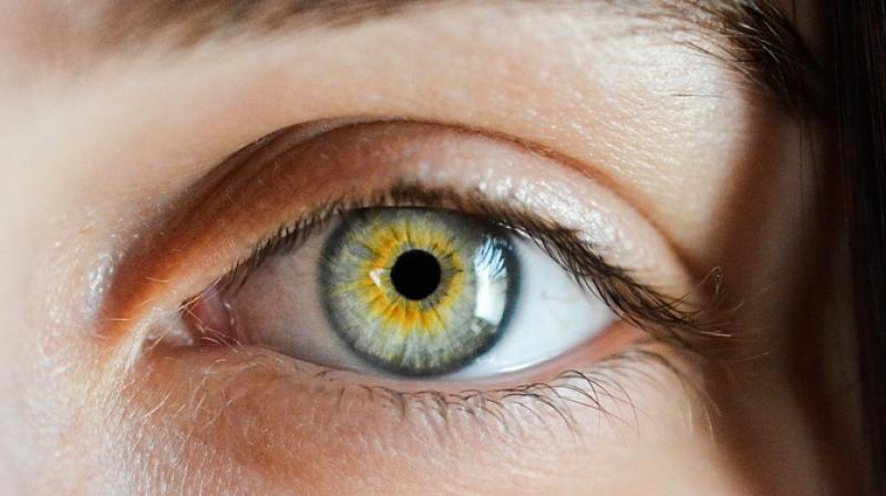 Look after your eyes to protect your brain, new study claims. (Photo: Pixabay)