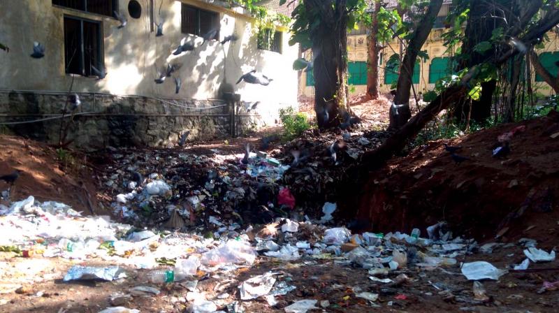 Waste accumulated behind special fever ward at General Hospital, Thiruvananthapuram. The drain behind the ward has also stopped to be functional.