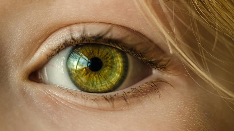 Researchers find way that could help deter vision loss among diabetes patients. (Photo: Pixabay)