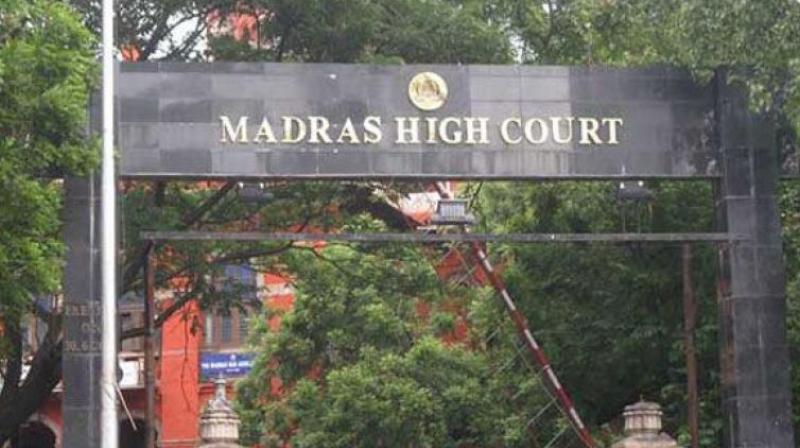 Earlier, the Madras High Court had ordered re-postmortem of bodies of seven people who died during the protest. (Photo: File/PTI)