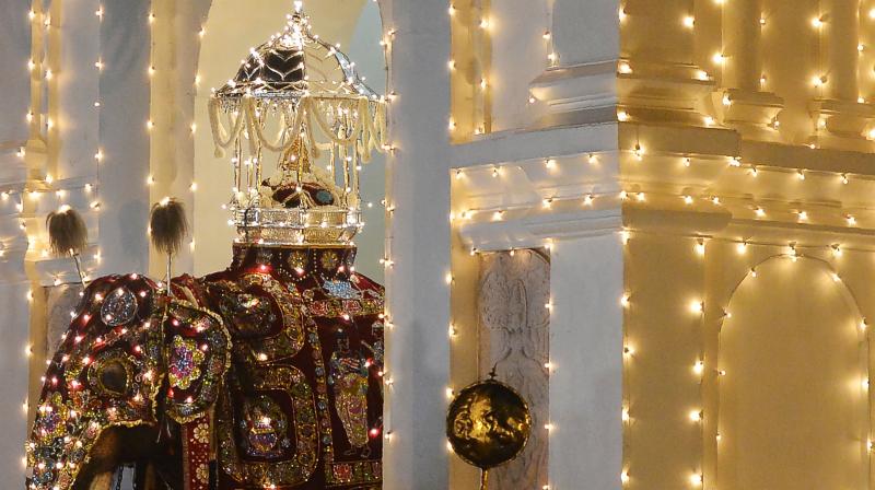 Sri Lanka: Esala Perahera festival honours the sacred Tooth Relic of Buddha Sri Lanka: Esala Perahera festival honours the sacred Tooth Relic of Buddha