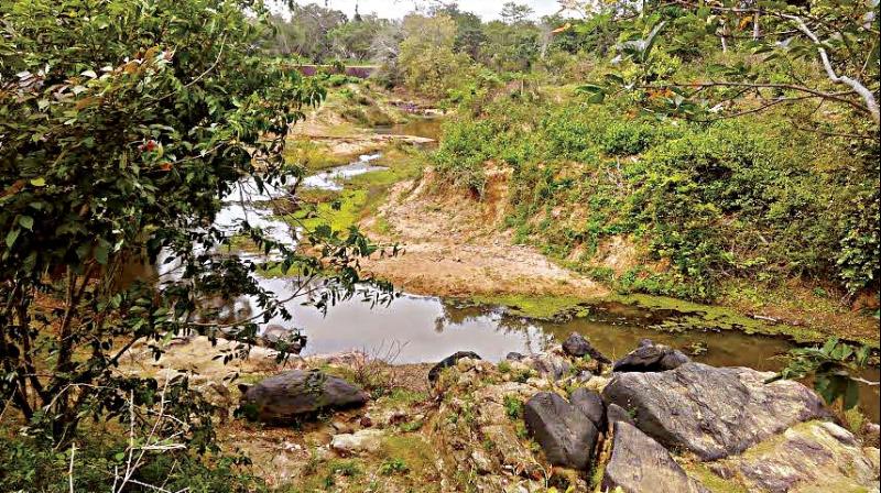 Puttamma has not returned home after she crossed the Lakshmana Theertha river flowing through the Nagarahole National Park a month ago
