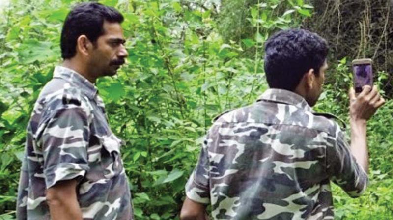 Foresters are seen using the Smart Patrolling App during duty inside the woods in MTR. (Photo: DC)