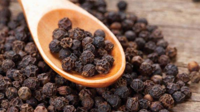 With the Union Ministry of Commerce and Industry approving the proposal to fix Rs 500 per kg as the Minimum Import Price for pepper. (Photo: DC)