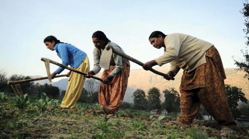 Rural policies following this approach should be designed and implemented in the way best adapted to the needs of the communities they serve.