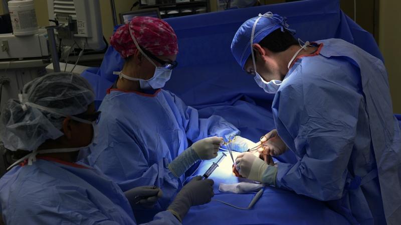Urologists said the surgery doesnt even serve a purpose (Photo: Pixabay)