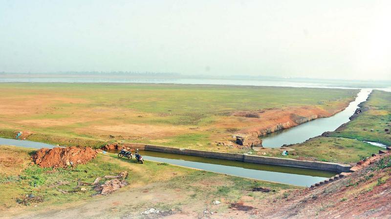 Water levels in Cholavaram lake are fast depleting, affecting farmers in Tiruvallur district. (DC Photo)