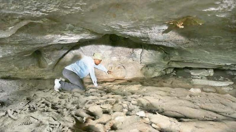 An Archaeological Survey of India officer points at artworks inside a cave, which belonged to the Stone Age, in Chandaka, Odisha.