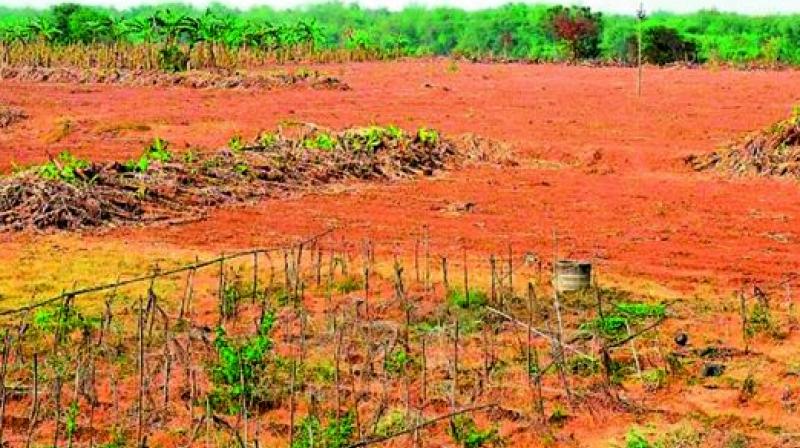The government had promised to regularise land within 90 days for those who pay fee in a single installment. (Representational image)