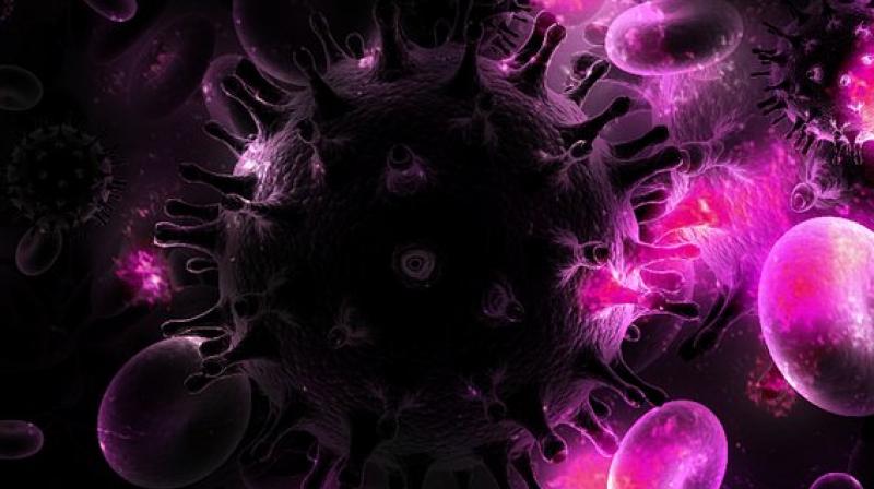 When HIV-1 infects an immune cell, the virus travels to the nucleus so quickly there is not enough time to set off the cells alarm system. (Photo: Pixabay)