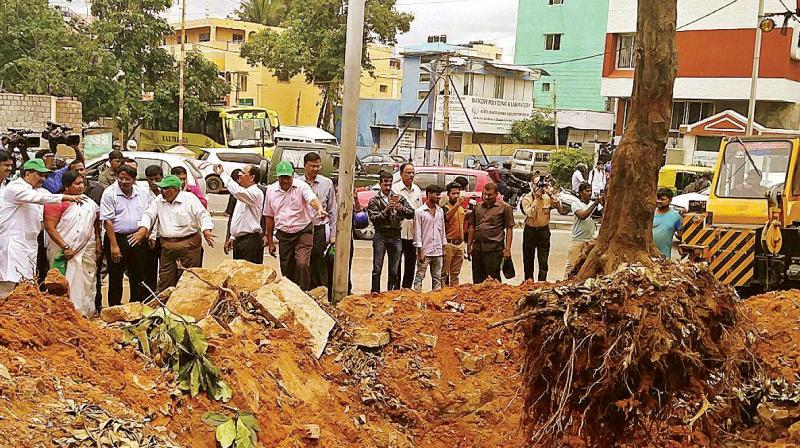 Bengaluru Development Minister K. J. George inspects translocation of trees from Jayamahal road in Bengaluru on Friday 	(Photo:DC)