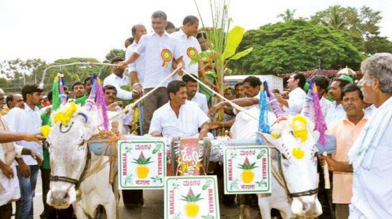 A file photo of Agriculture Minister Krishna Byre Gowda riding a bullock cart.