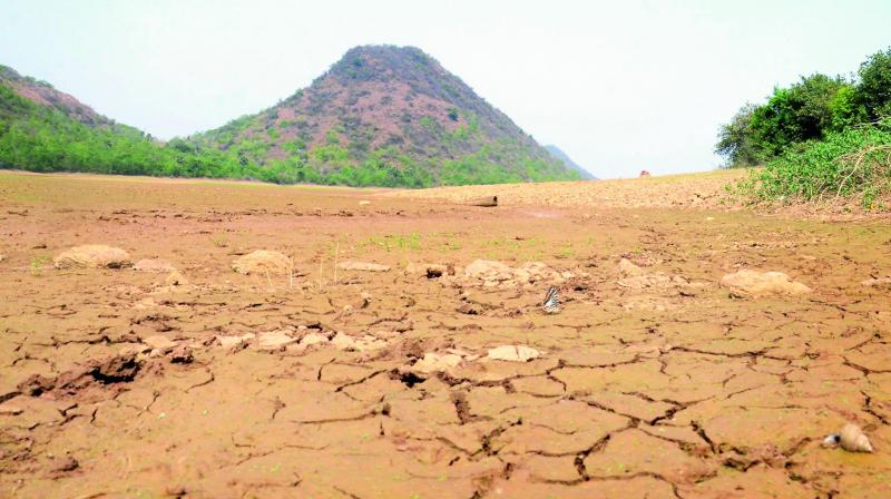 Dried up patches of mud at Ghambeeram reservoir indicates the severe conditions of the upcoming summer in Visakhapatnam on Tuesday. World Water Day is on Wednesday.	(Photo: DC)