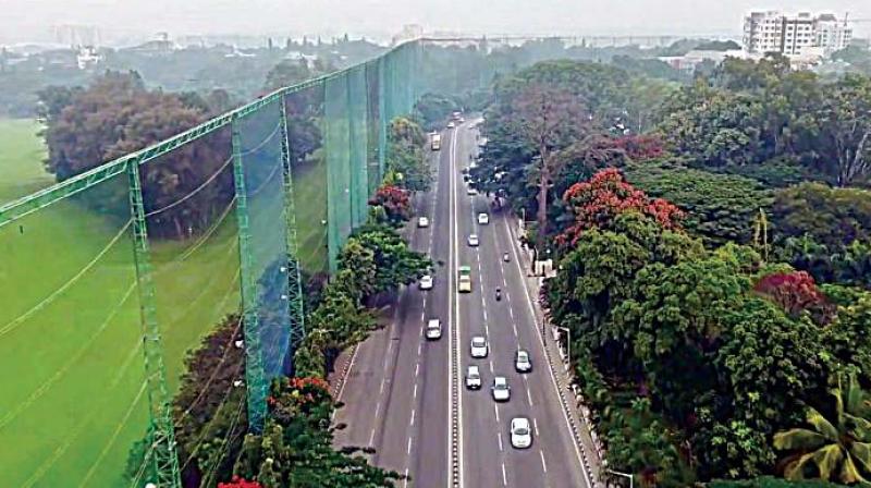 The fight for Bengalurus green cover began with the government plans for a steel flyover that will involve the felling of over 2000 trees across the city.