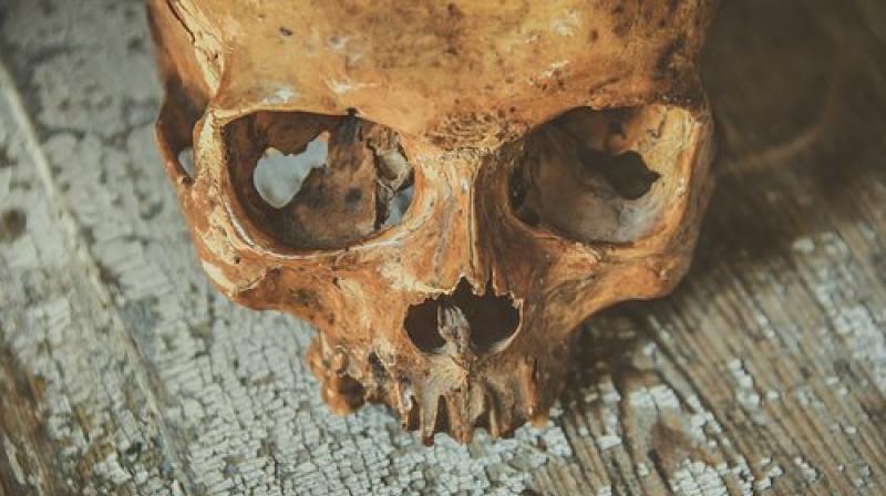 The discovery of human bones at the alleged murderers  former home in Brittany has sparked hope that the truth will prevail. (Photo: Pixabay)