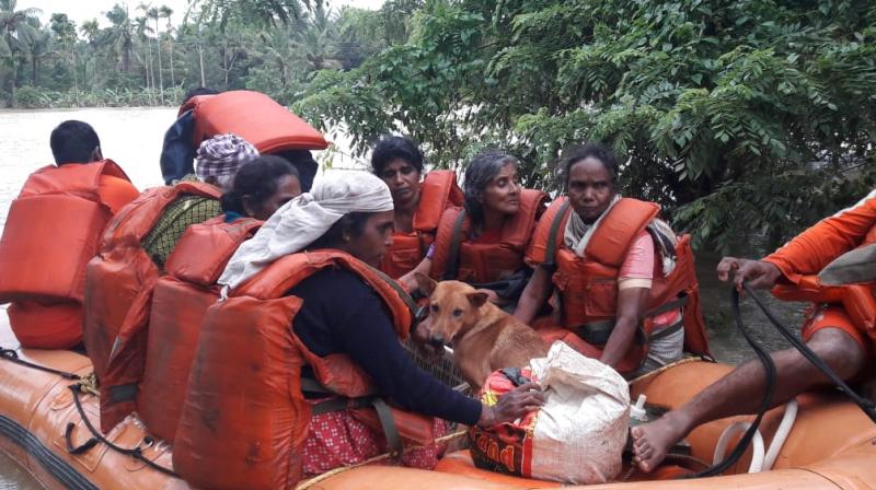Sunitha, her husband and the dogs are now staying at a special shelter as the relief camps set up for the disaster refused animals. (Photo: Twitter | @NDRFHQ)