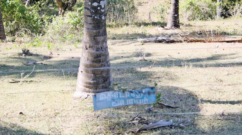 Power fence erected around a private land in Segur Valley Elephant Corridor.  (File photo)