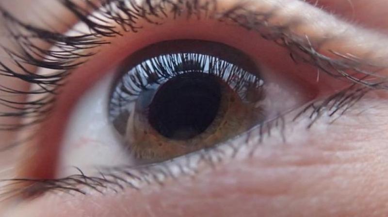 It was found that the innermost layer of the retina in one section of the eye had an average thickness of 35 microm when compared to the thickness of 37 mi.m in those who didnt have the disease. (Photo: Pixabay)