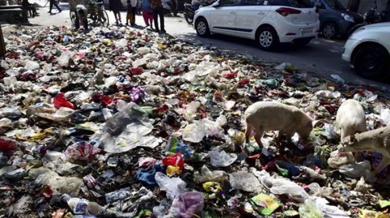 Garbage piles up after East Delhi MCD sanitation workers call a protest strike in front of an AAP Mlas house in Trilok Puri area in New Delhi on Tuesday. (Photo: PTI)