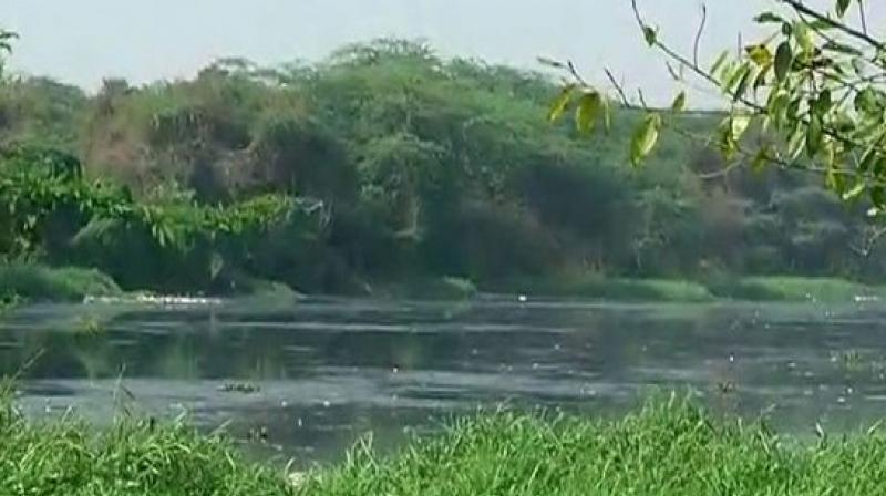 The Musi river once had clean water. (Photo: ANI)