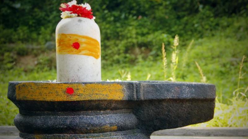 The teaser showed four youngsters feeding chicken and alcohol to a Shiva Linga. It also showed youths throwing cigarettes at the Shiva Linga. (Representational image)