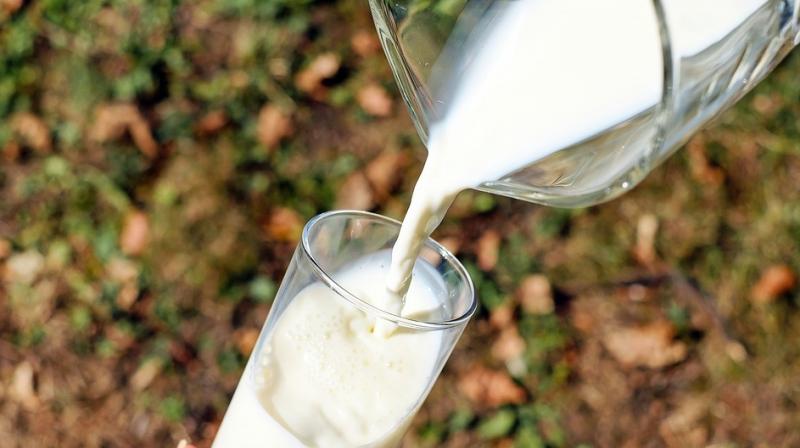 She even has a website where men can approach for the milk. (Photo: Pixabay)
