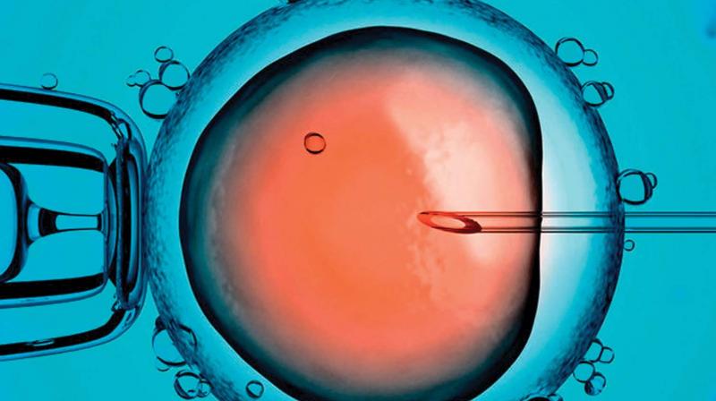 There were only 20 IVF clinics in 2012 which made a quick jump to 42 in 2017.