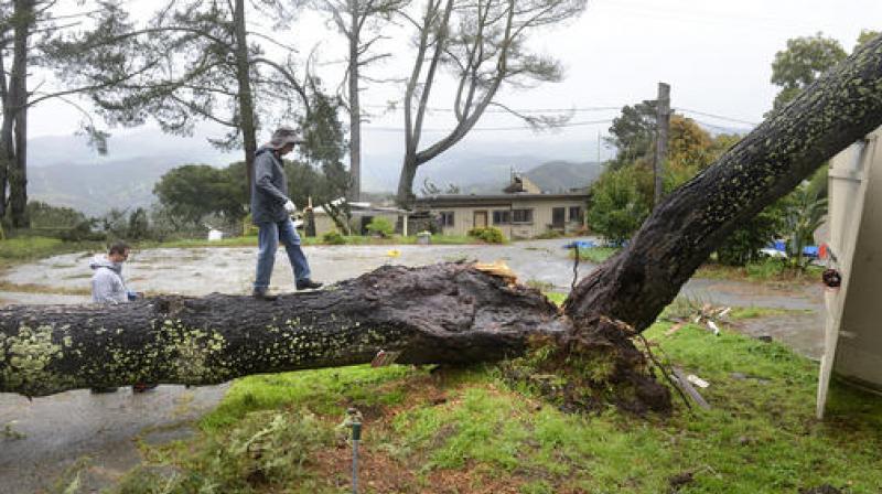 In the Sherman Oaks area of Los Angeles, a falling tree downed power lines and hit a car. (Photo: AP)