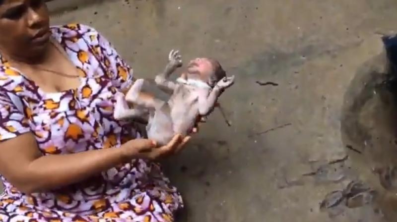 An abandoned newborn with the umbilical cord still intact, wrapped around the neck, was stuck in the drain. (Screengrab | Twitter | @umasudhir)