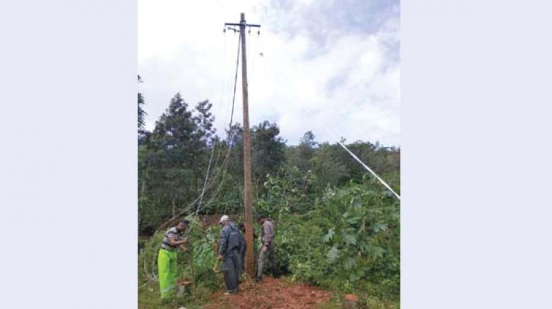 Workers repairing power lines in Sakleshpur taluk 	(Photo:DC)