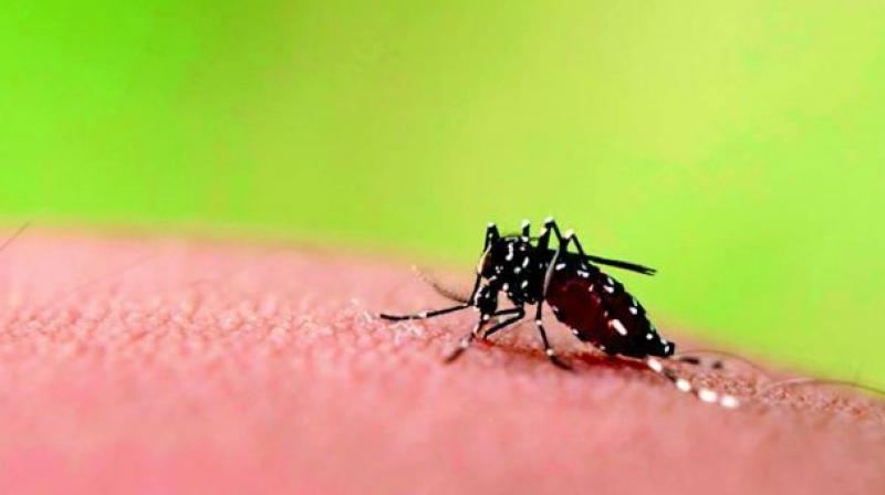 As many as 11,555 people have been diagnosed with dengue in Tamil Nadu (till Sunday) out of which nearly 6,000 cases were reported in the last two months, according to data released by the Union health ministry.