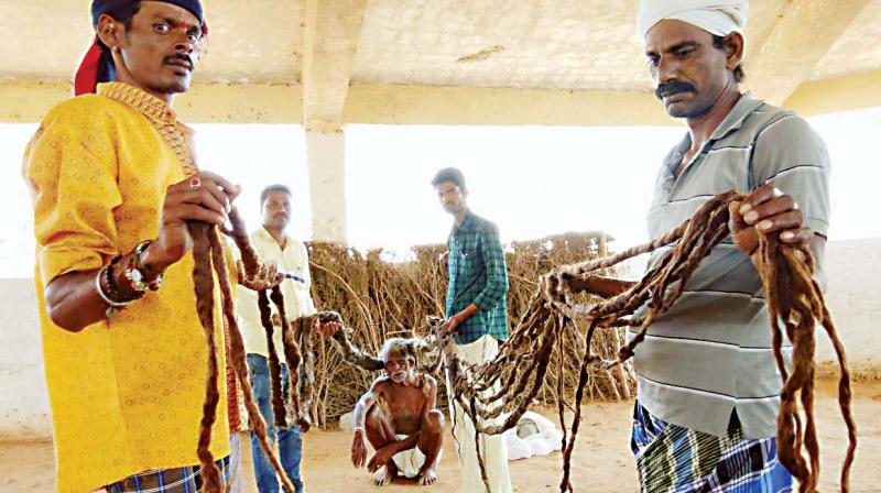 Nearly 20-foot-long hair makes Palaiah, a Myasa Beda tribal, stand out in any crowd 	   Image: DC