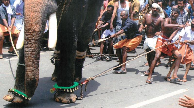 Thrissur Pooram