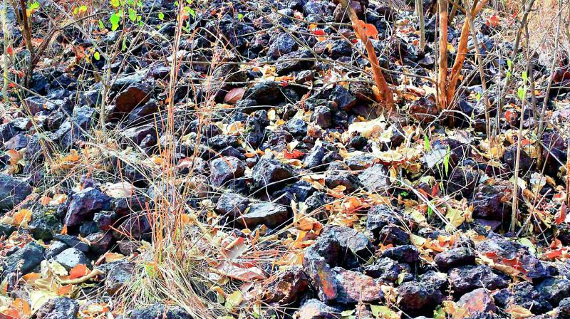 Iron ore deposits near the Bayyaram hillock.