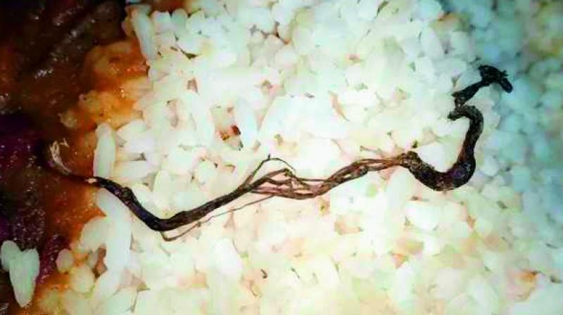 At around 1.40 pm, English teacher Murali Sahu first spotted the six-inch-long snake in the food.