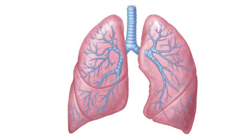 After the arrival of the organ at BGS hospital, a team of doctors successfully performed the bilateral lung transplant.