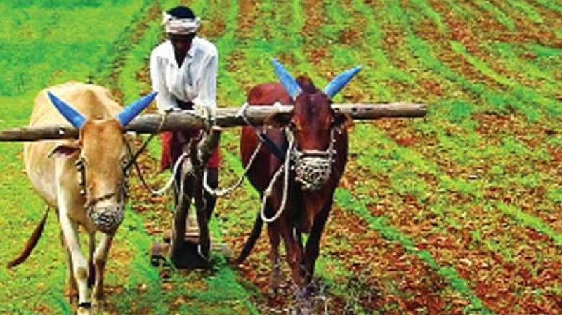 Farm sector accounts for about 14 per cent of Indias $2.6 trillion economy and employs more than half of the countrys 1.3 billion people.