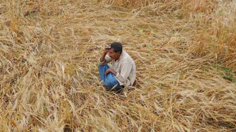 Agriculture Ministry wants to use modern technologies to get the crop yield figures faster and accurately for payment of crop insurance claims.
