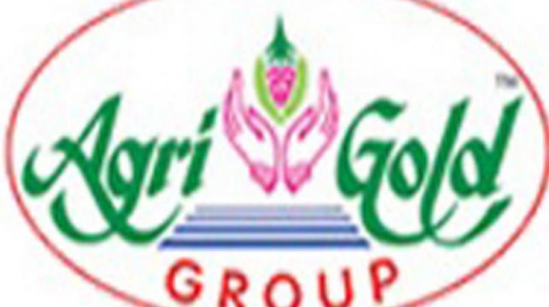 Agri Gold Group Of Companies logo