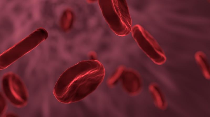 Blood group O raises risk of death from severe trauma patients. (Photo: Pixabay)