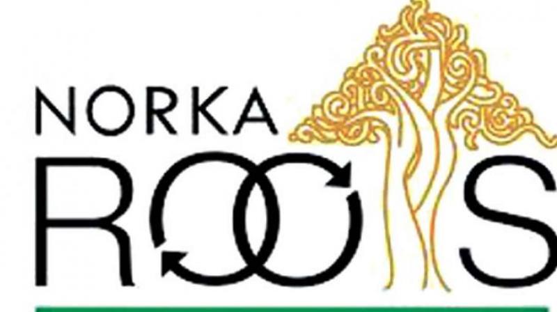 Norka logo