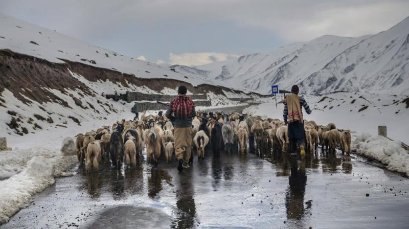 In Photos: Travelling in the footsteps of the lost nomads of Kashmir
