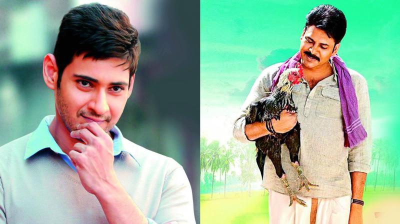 Mahesh Babu and  Pawan Kalyan have come out in support of Jallikattu, the traditional sport (bull-taming festival) of Tamil Nadu.