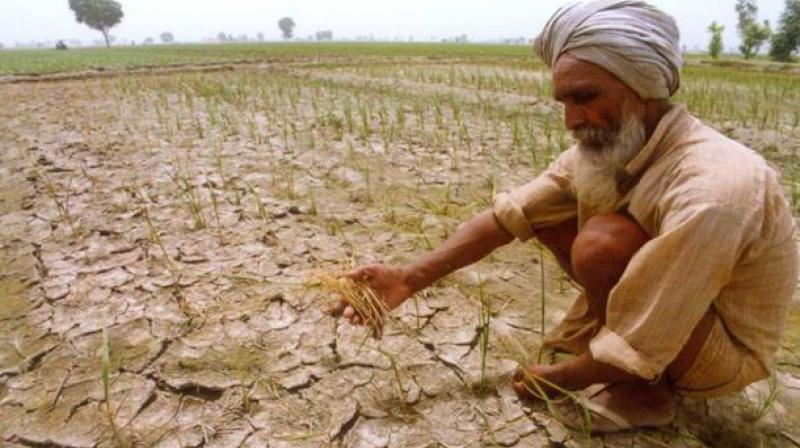 The Economic Survey on Friday warned against farm loan waivers.