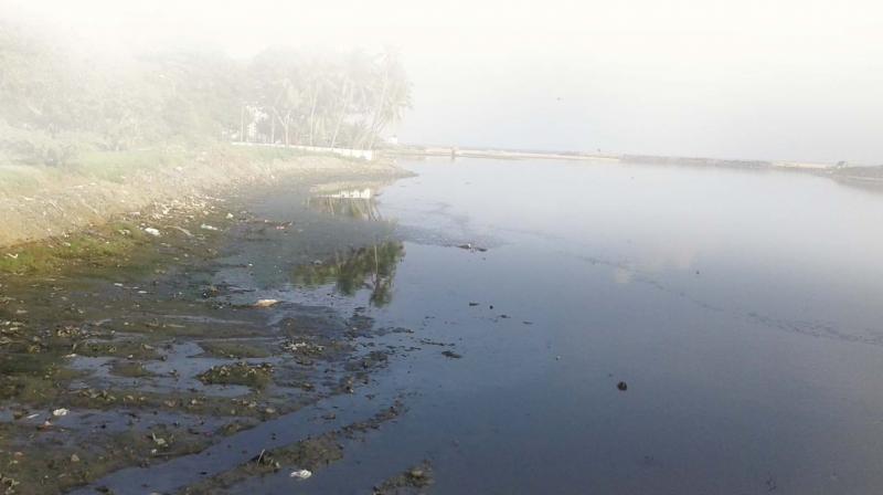 The pollution in the Cooum was the result of public apathy and disposal of solid waste on the river bed.