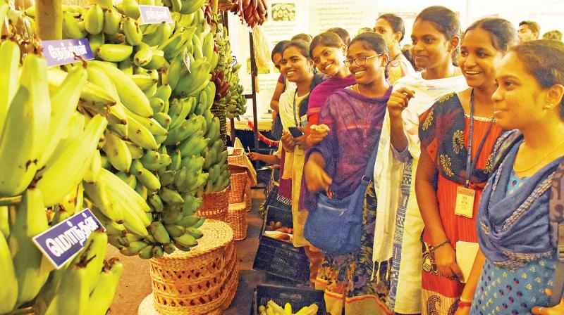 Students at national banana festival exhibition held at Tamil Nadu Agricultural University in Madurai on Friday. (Photo: DC)