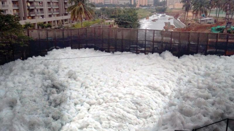 Stench filled and arsenic infested foam rises from Bellandur Lake as heavy rains increased the flow of effluents and chemical contaminated waste into the waterbody  (Photo: R. Samuel)