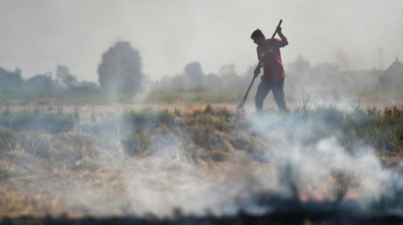 Delhi holds breath as burning farms herald pollution season