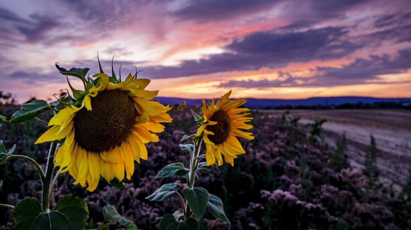 Beautiful vistas of Germany