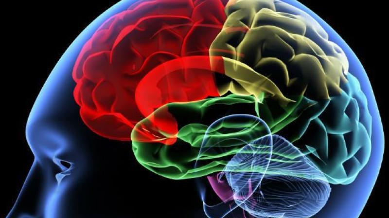 Elevated levels of the brain protein tau following a sport-related concussion are associated with a longer recovery period and delayed return to play for athletes. (Representational Image)